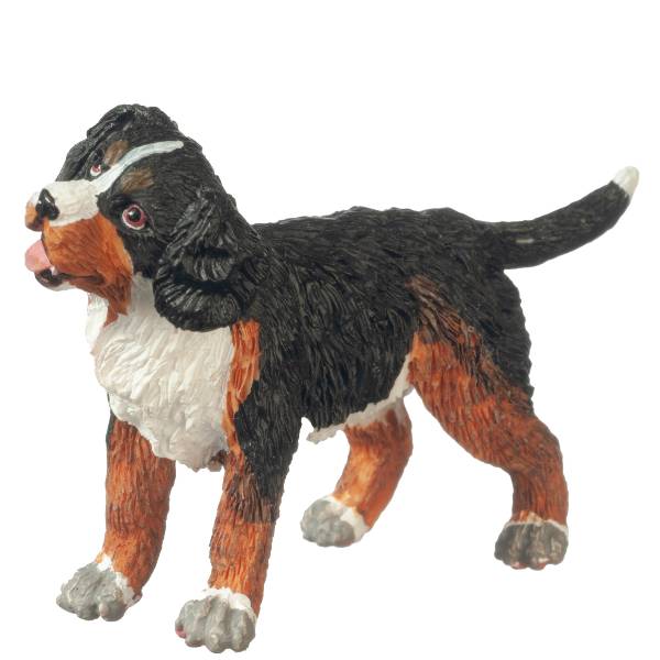 Dollhouse Miniature Burmese Mountain Puppy Little Shop of Miniatures