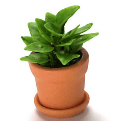 Potted Dollhouse Miniature Plant - Little Shop of Miniatures
