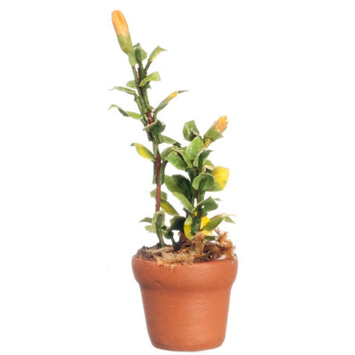 Dollhouse Miniature Potted Green Plant - Little Shop of Miniatures