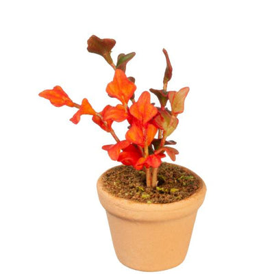 Red & Orange Dollhouse Miniature Potted Plant - Little Shop of Miniatures